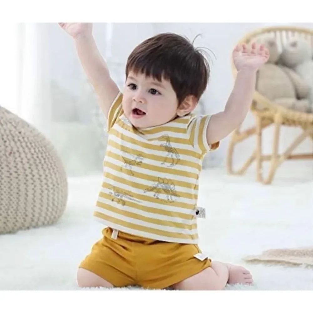 New in Package Baby Boys Cottonfairy Dinosaur 2 Piece Summer Outfit - Sz 18 mo